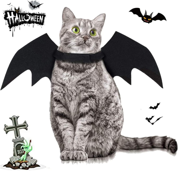 Dog Costume with Bat Wings - Image 5