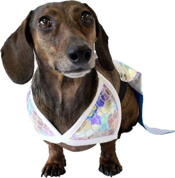 Mermaid Dog Costume - Image 3
