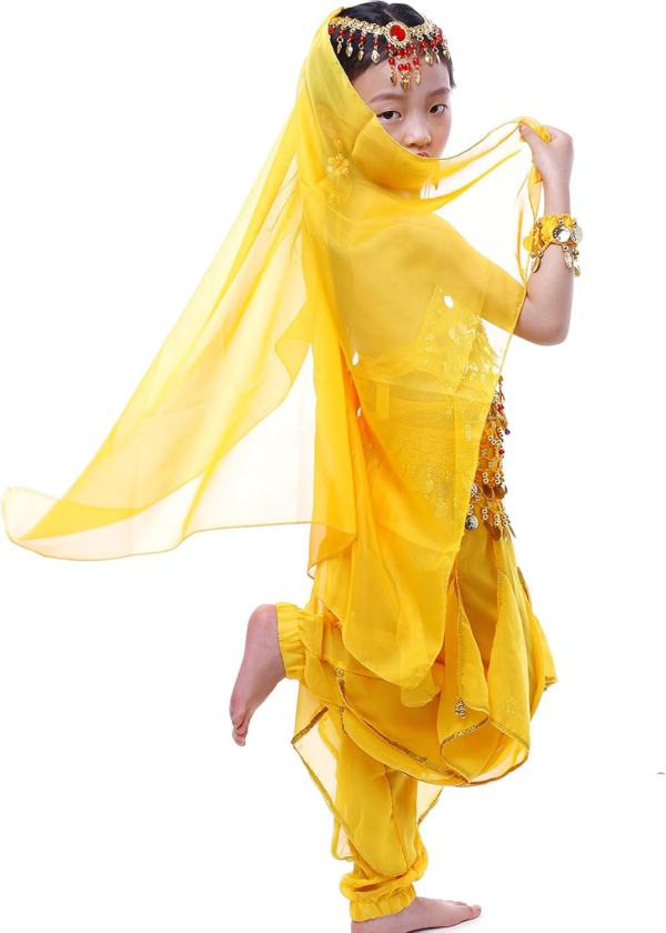 Girls Genie India Belly Dance Arabian Princess Costume - Image 8