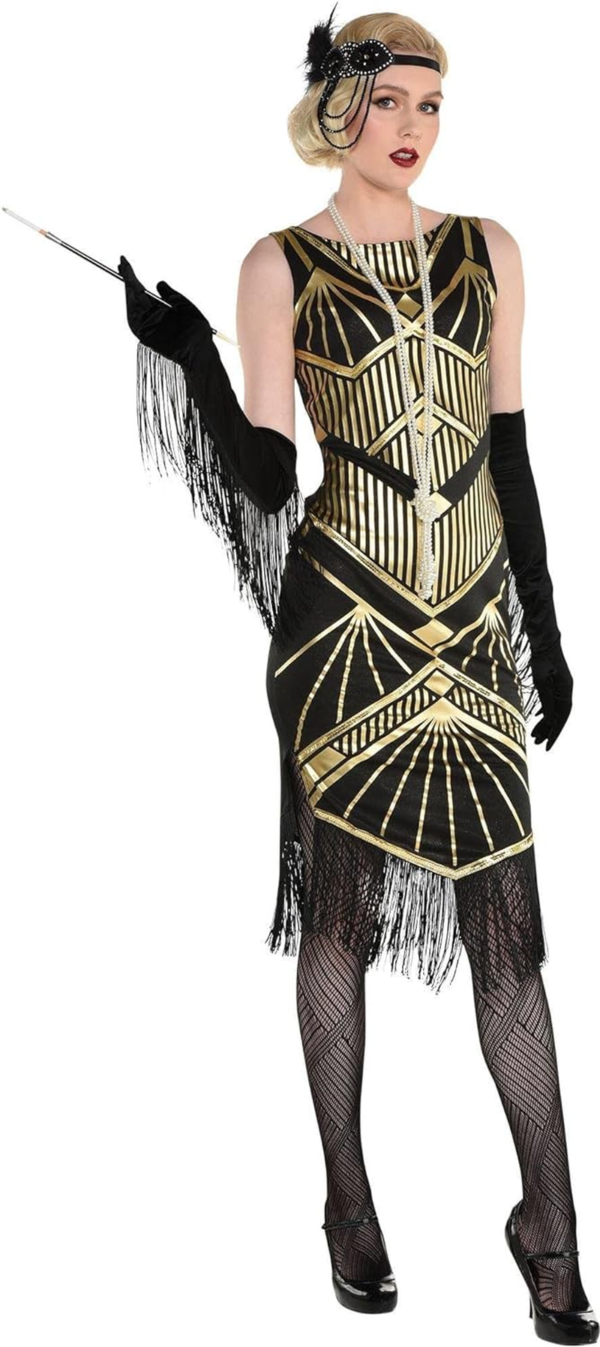 Roaring 20'S Flapper Dress Costume - Adult Large