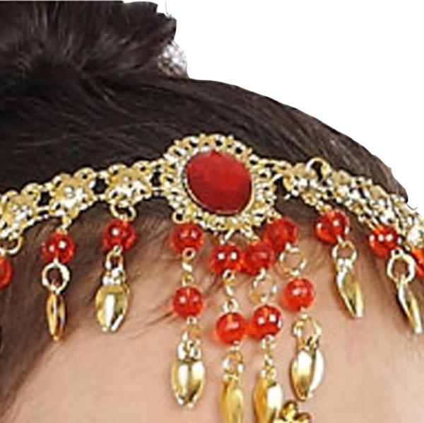 Girls Genie India Belly Dance Arabian Princess Costume - Image 4