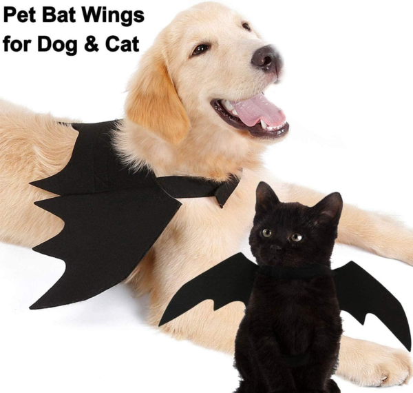 Dog Costume with Bat Wings - Image 4