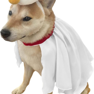 Dog French Lab Night /Ghost Costume