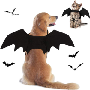 Dog Costume with Bat Wings