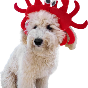 Crab Dog Costume Medium, Red
