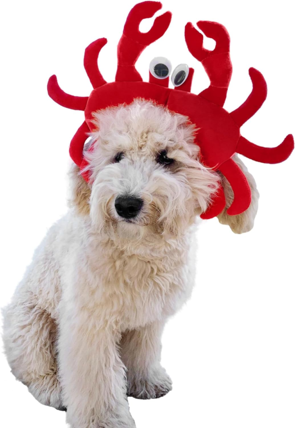Crab Dog Costume Medium, Red