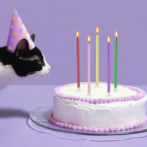 48 Pcs Long Birthday Candles (Multicolor) - Image 7