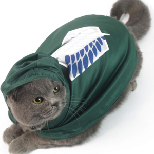 Cat Costume Funny Puppy