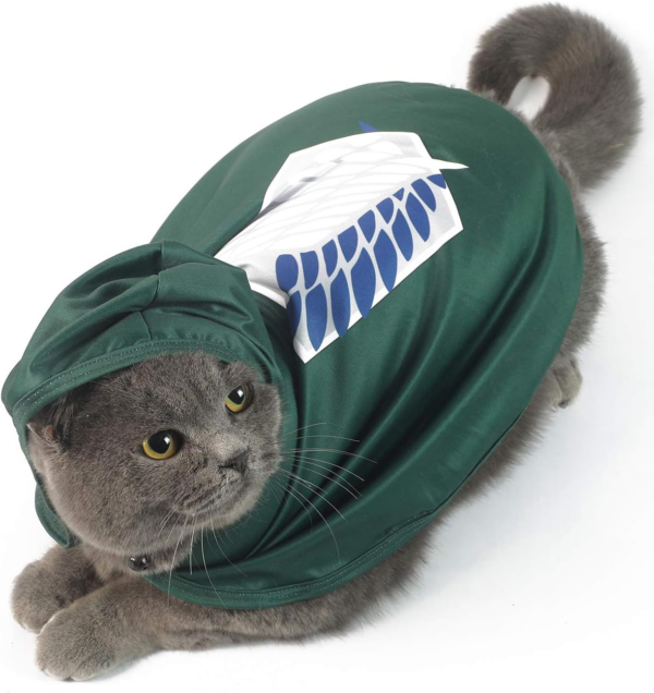 Cat Costume Funny Puppy