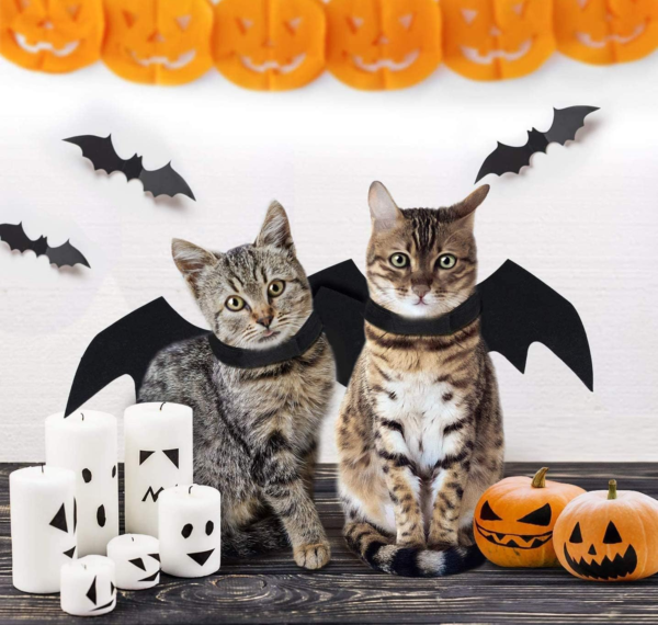 Dog Costume with Bat Wings - Image 3